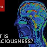 The Economist
