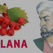 Табиблар Дулана Хакида