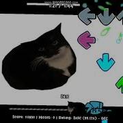 Maxwell The Cat Fnf