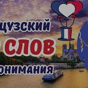 Французский Язык Для Начинающих В 100 Уроках