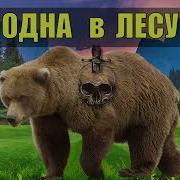 Клан Пещерного Льва И Медведь