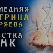 Чистые Матрицы Гаряева