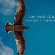 Спектакль Нарния