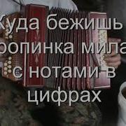 Куда Бежишь Тропинка Милая Разбор На Гармони