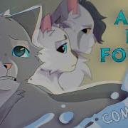 All Is Found Complete Warrior Cats Bluestar Map