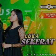 Luka Sekarat Rasa Simpatik Musik