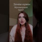 Грибной Трип Мухомор