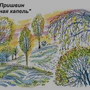 Пришвин Лесная Капель
