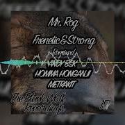 Frenetic Strong Andy Bsk Remix