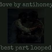 Dove By Antihoney Best Part Violin Part Looped 10 Minutes