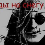 Егор Летов Следы На Снегу