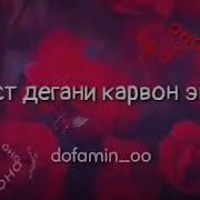 Онамдан Бошкаси Ёлгон Йиглайди