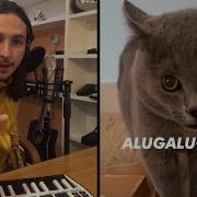 Трек С Котом Тик Ток