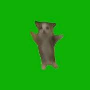 Мем Хапи Хапи Хапи