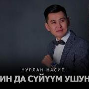 Менин Да Суйуум Ушундай