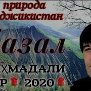 Нахт Газал