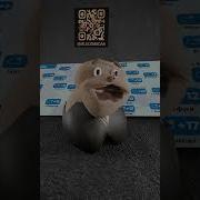 Звук Выключи Его Нах