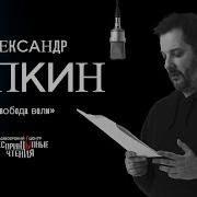Аудиокниги Цыпкин