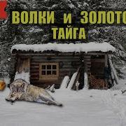 Золотоискатели Истории