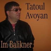 Tatul Avoyan Im Axper