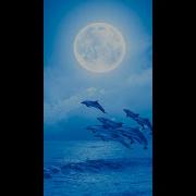 You Re Young And You Re Free So Why Don T You Sleep With Somna