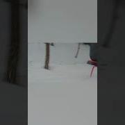 На Санках С Горки