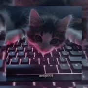 Блэк Бакарди Speed Up