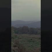 Красиво Да И Пидарасов Нет