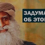 Твое Время На Планете Земля Ограничено Садхгуру