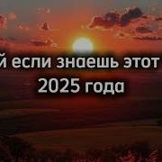 Тик Ток Тренд 2025