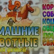 Музыкальная Физминутка Про Домашние Животные