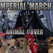 Imperial March But It Sounds Like Animals