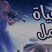 امل تالق وارتى
