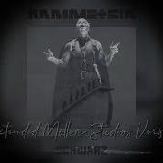 Rammstein Schwarz Foxy Tail