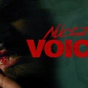 Voice Nucci