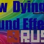 Rust Death Sound