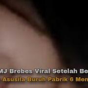 Video Viral Pt Smj Brebes