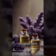 Неповторимые Красоты