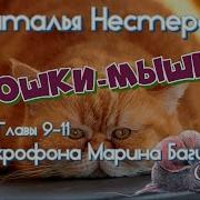 Роман Кгига