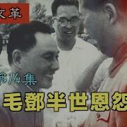 邓小平文革