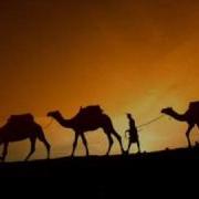 Camels Dirk Dreyer Marcus Layton Rmx Santos