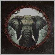 Mary The Elephant A Dying Sun