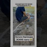 Смехопанорама Лучшее