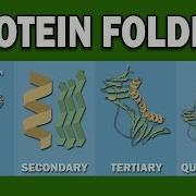 Folding Processes