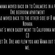 Mockingbird Eminem Acapella