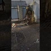 Друг Вернулся Сво