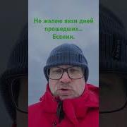 Не Жалею Вязи Дней Прошедших Есенин