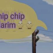 Чип Чип Чужаларым