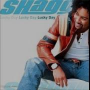 Get My Party On Shaggy Feat Chaka Khan