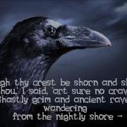The Raven